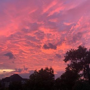 Meet your Posher, Alyse